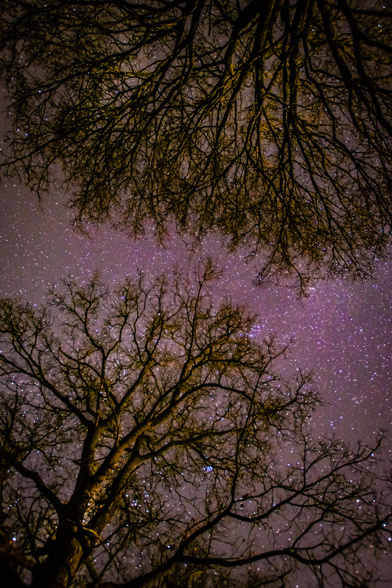 Nikon D5200 + Sigma 10-20mm F3.5 EX DC HSM sample photo. Sky photography