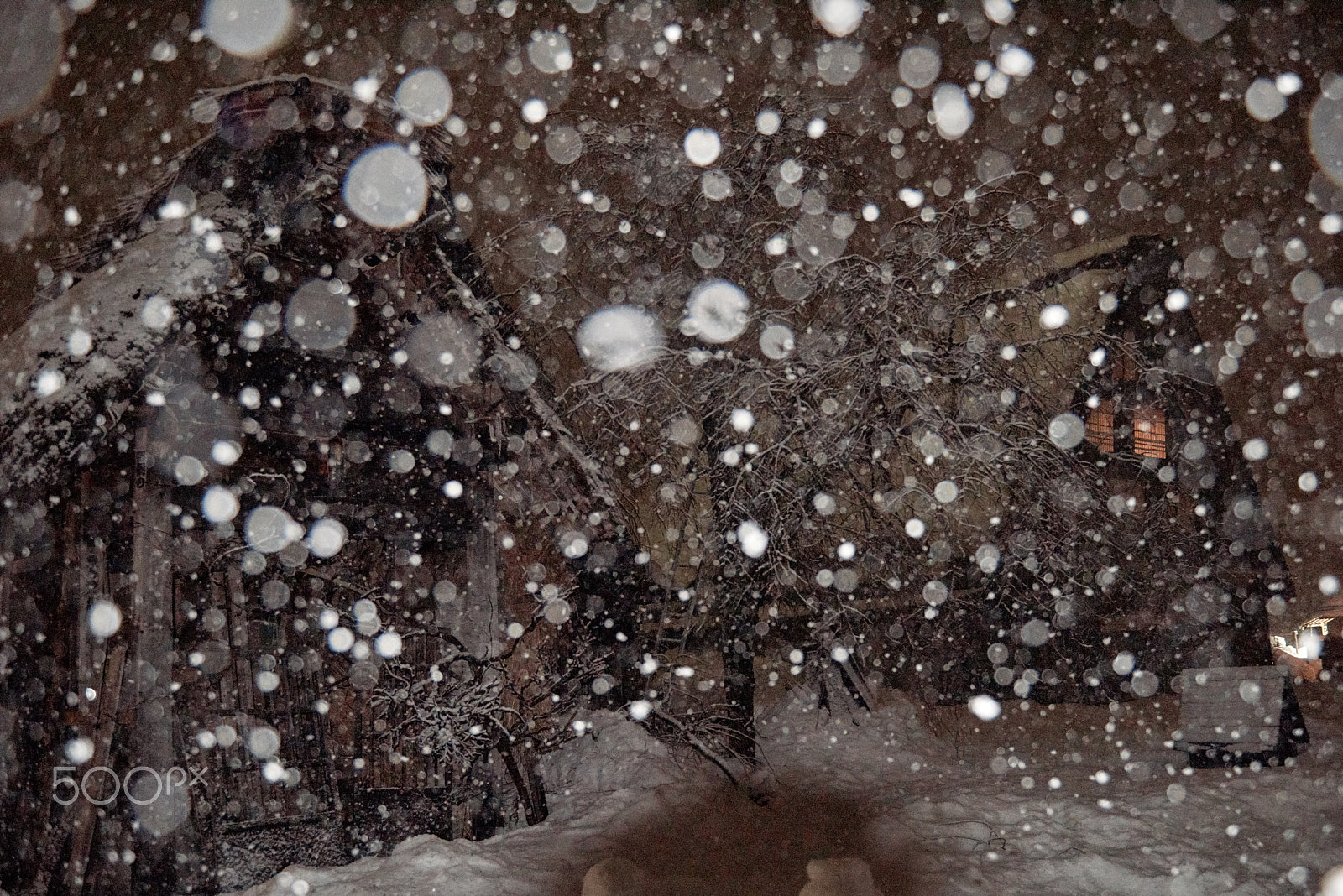 Nikon AF-S Nikkor 24-70mm F2.8G ED sample photo. Heavy snowfall photography