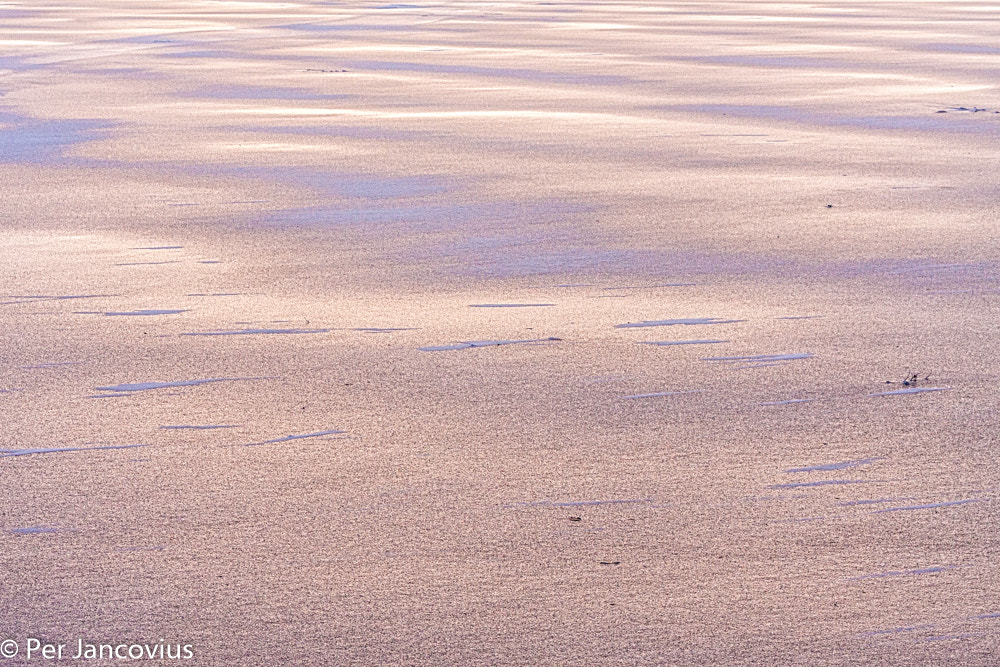 Canon EOS 40D sample photo. Colourful snow photography
