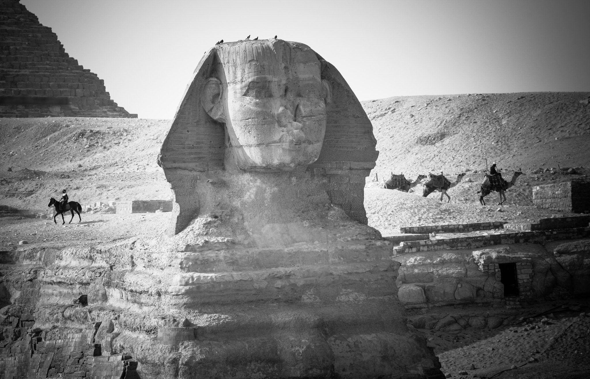 Nikon D810 sample photo. Sphinx of giza photography