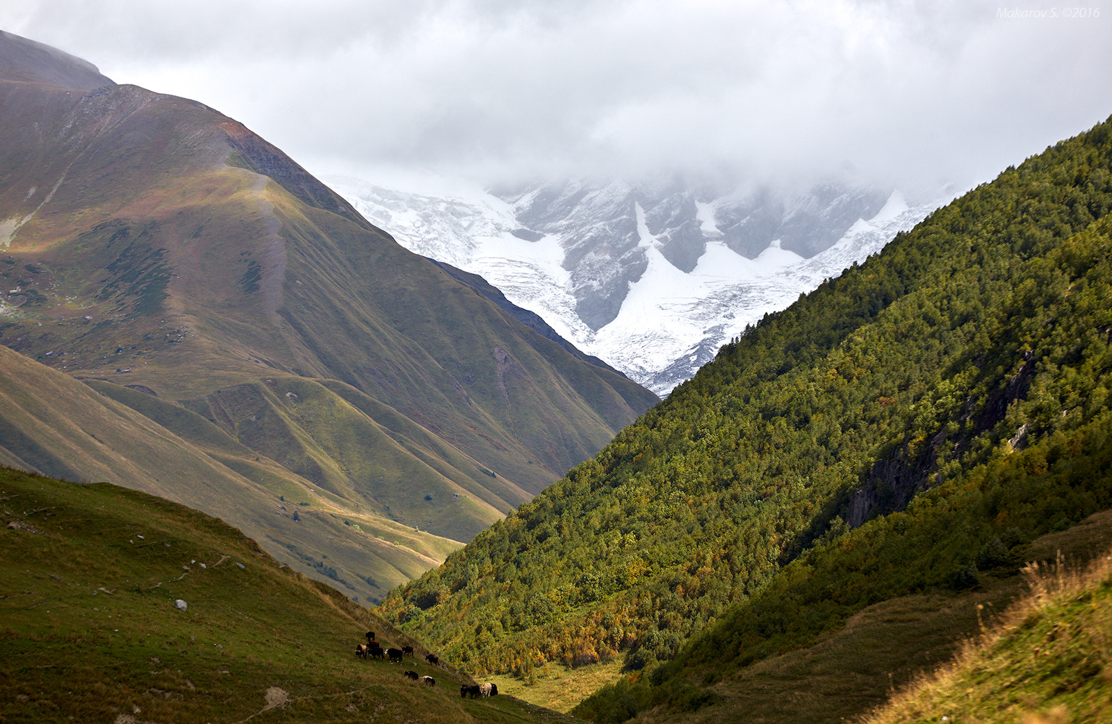 Canon EOS 6D + Canon EF 70-200mm F4L IS USM sample photo. Ushguli, svaneti, georgia photography