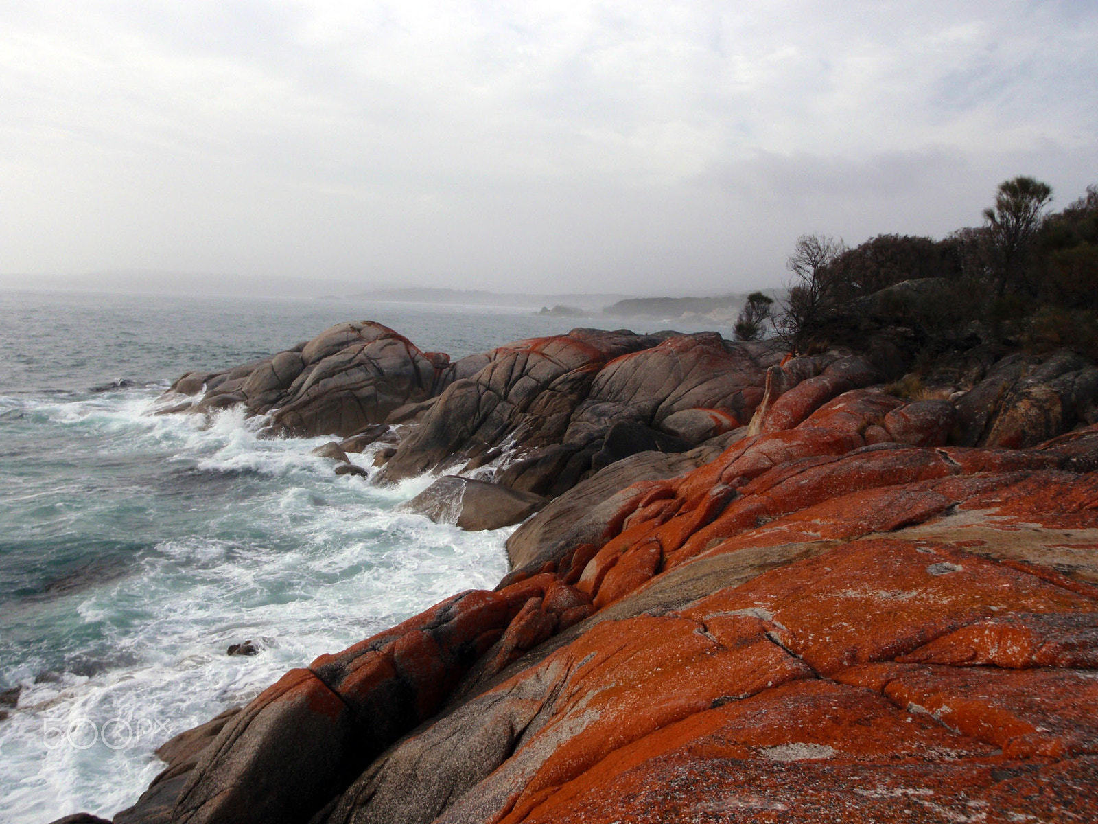 Olympus uT8000,ST8000 sample photo. Bay of fires photography