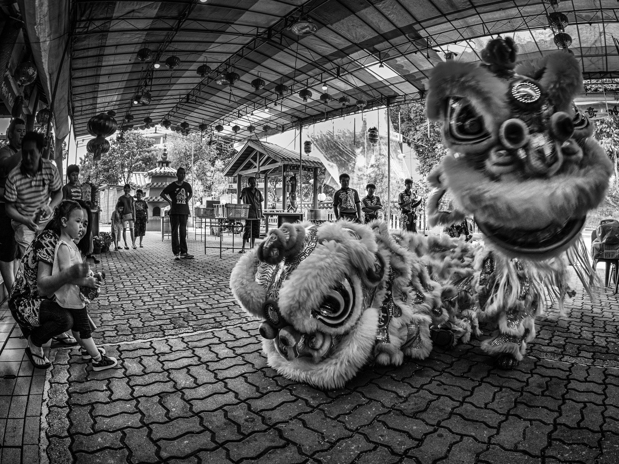 Olympus PEN-F sample photo. A lion dance performance photography