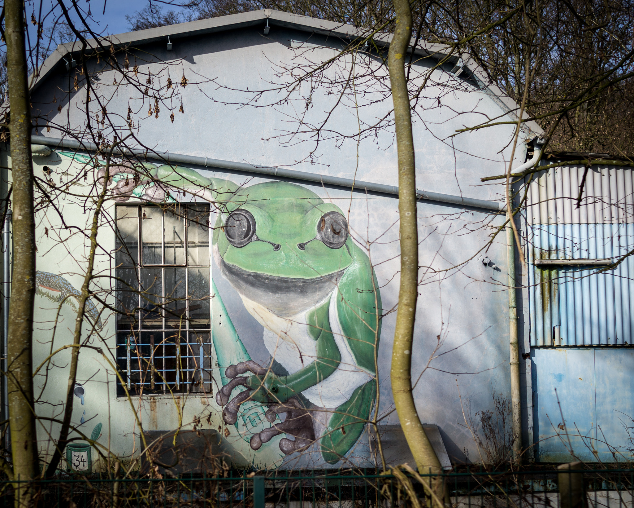 Sony Cyber-shot DSC-RX1 + 35mm F2.0 sample photo. Frosch an lagerhalle photography