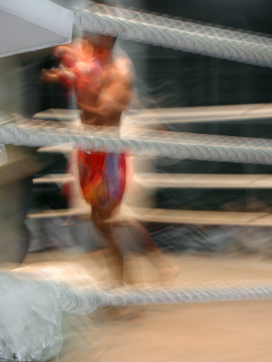 Olympus C3040Z sample photo. Boxing photography