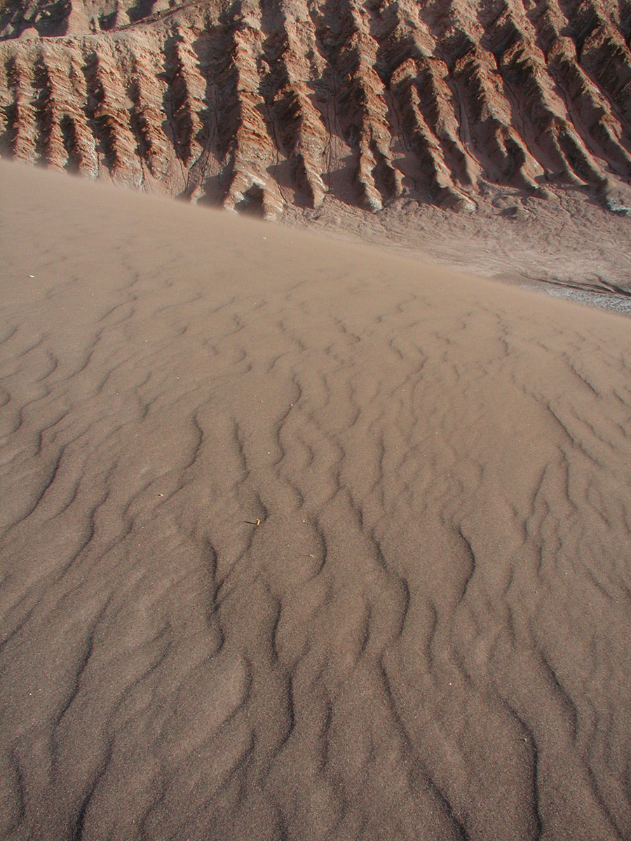 Olympus C3040Z sample photo. Dunes photography