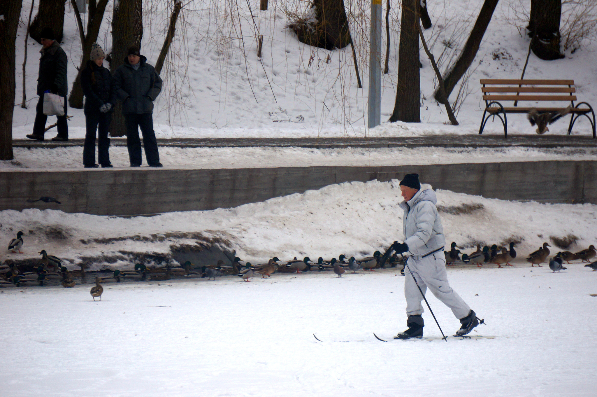 Sony E 55-210mm F4.5-6.3 OSS sample photo. Skier photography