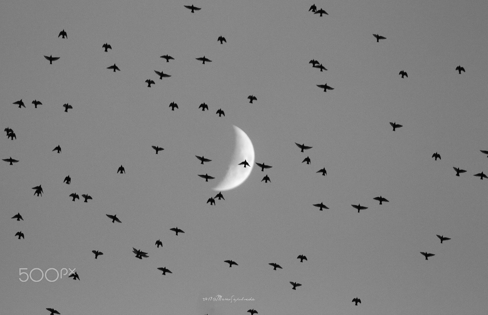 Tamron SP 150-600mm F5-6.3 Di VC USD sample photo. Star and the moon in germany photography