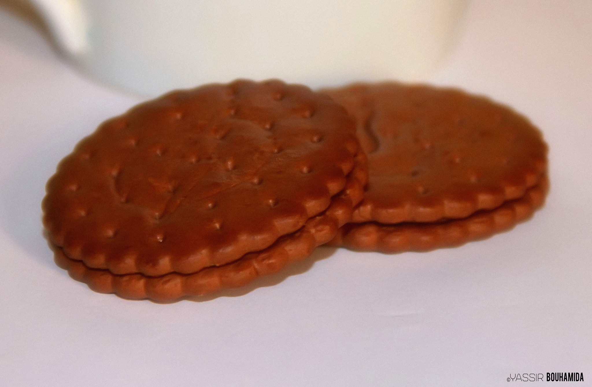 Canon EOS 40D sample photo. Biscuit photography photography