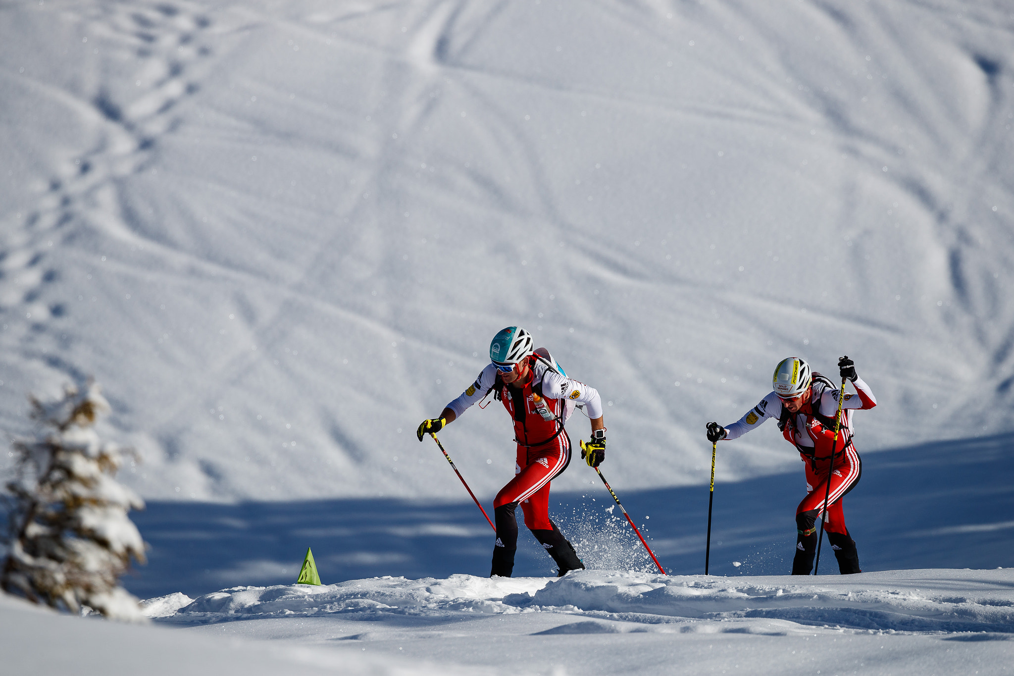 Canon EOS-1D X Mark II sample photo. Hochkönig erztrophy photography