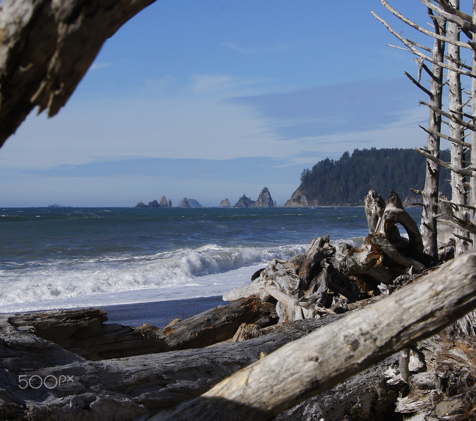 Sony SLT-A33 sample photo. Beach beauty photography