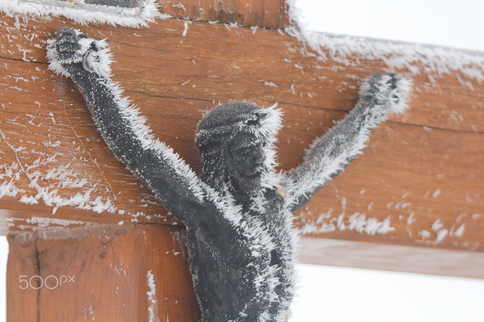 Tamron SP 150-600mm F5-6.3 Di VC USD sample photo. Jesus-kalt (in germany) photography