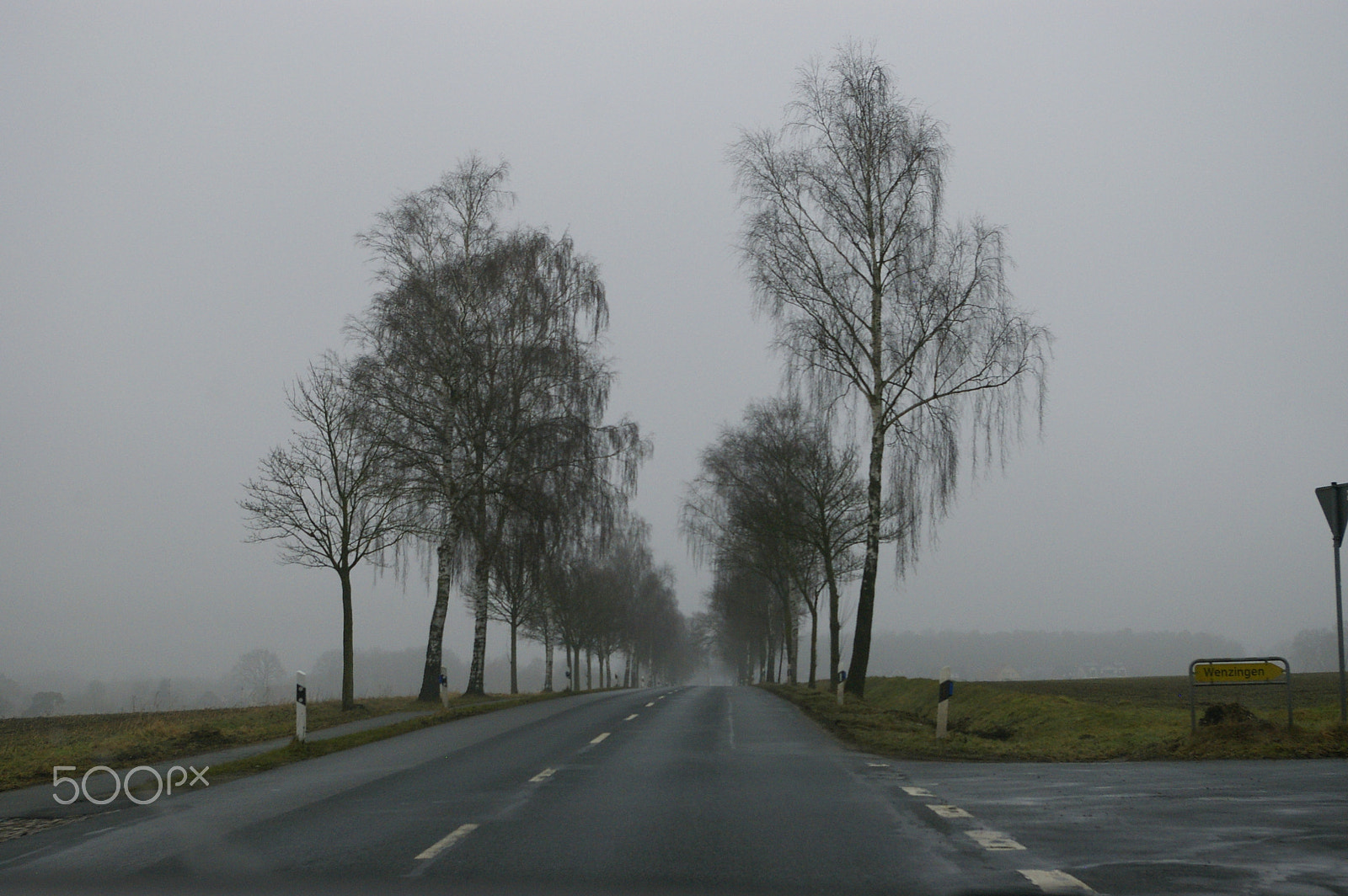 Pentax K100D Super sample photo. Fog over the valley photography