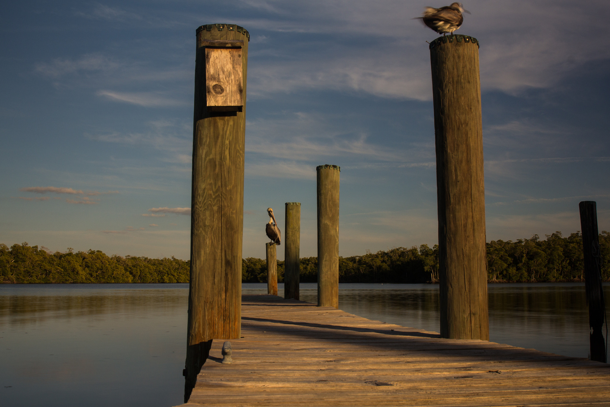 Canon EF 24-70mm F4L IS USM sample photo