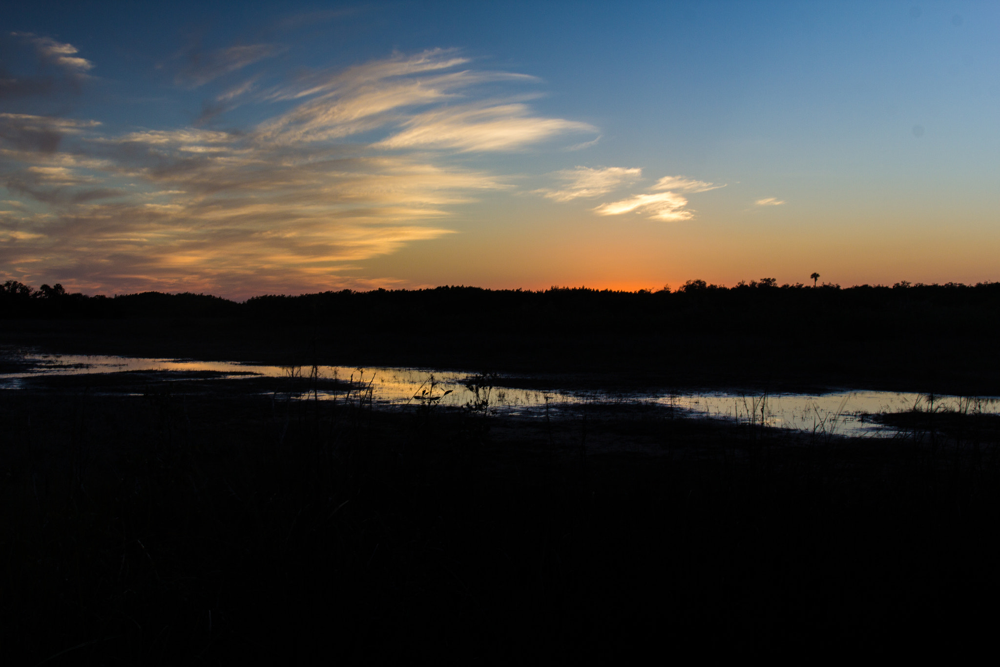 Canon EF 24-70mm F4L IS USM sample photo