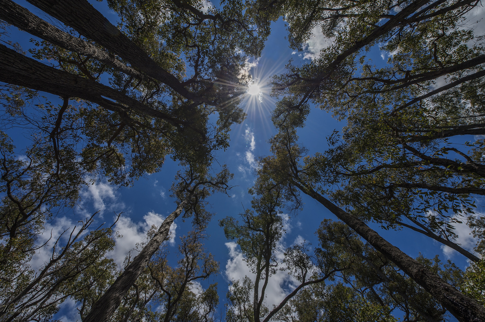 Nikon D4 sample photo. Into the country into the sky photography