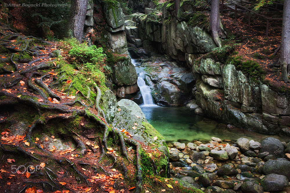 Canon EOS 5D Mark II + Canon EF 35mm F2 sample photo. Waterfall in enchanted forest photography