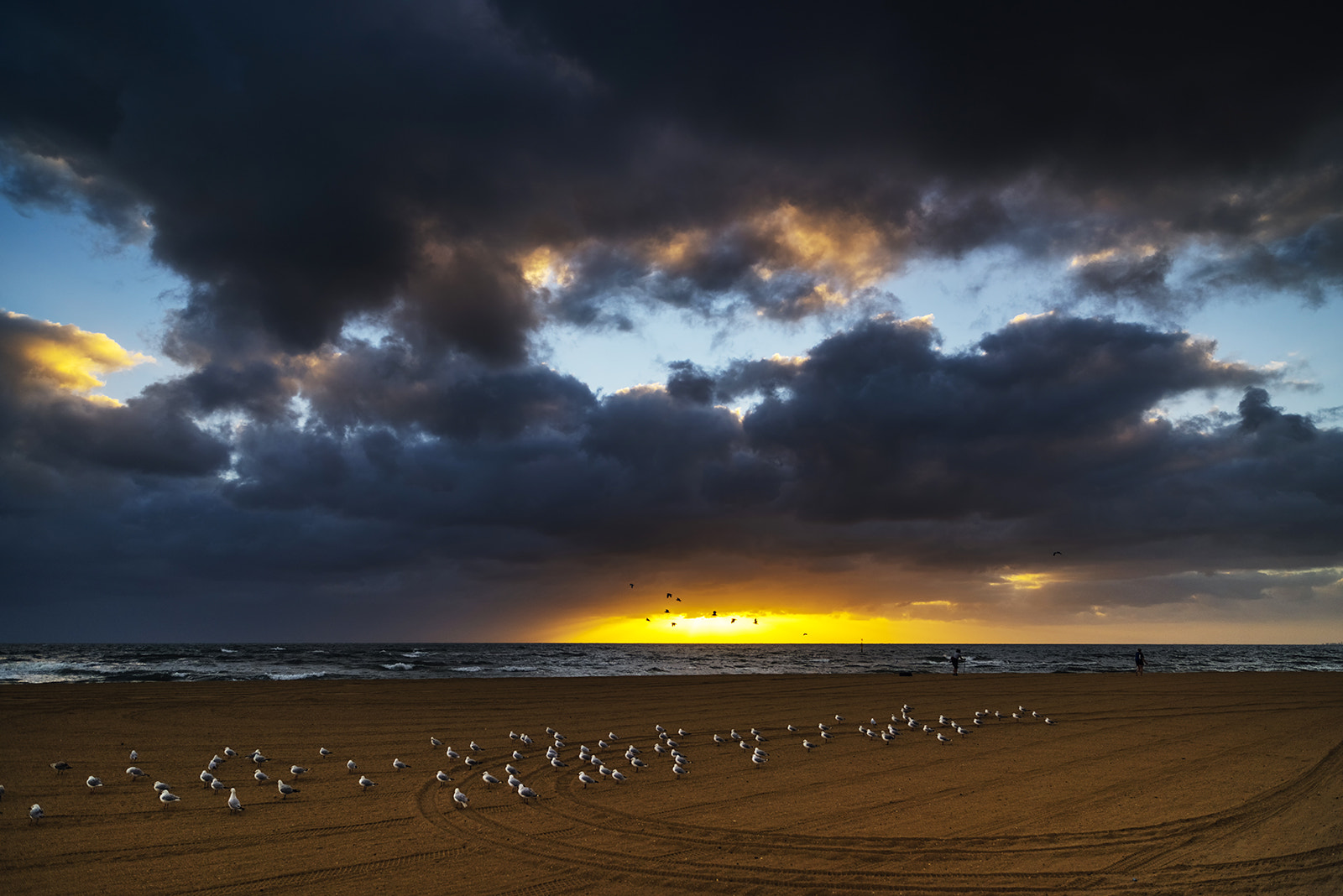 Nikon D810 sample photo. Beach photography