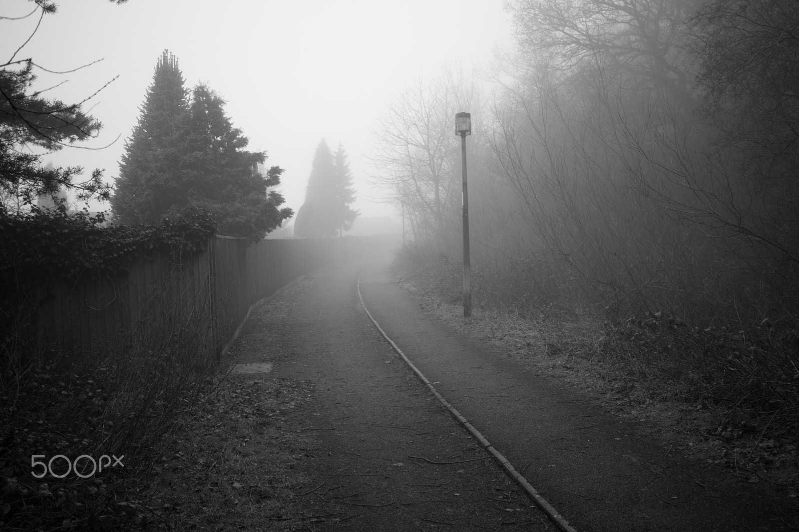 Canon EF-S 24mm F2.8 STM sample photo. Morning  fog in b&w photography