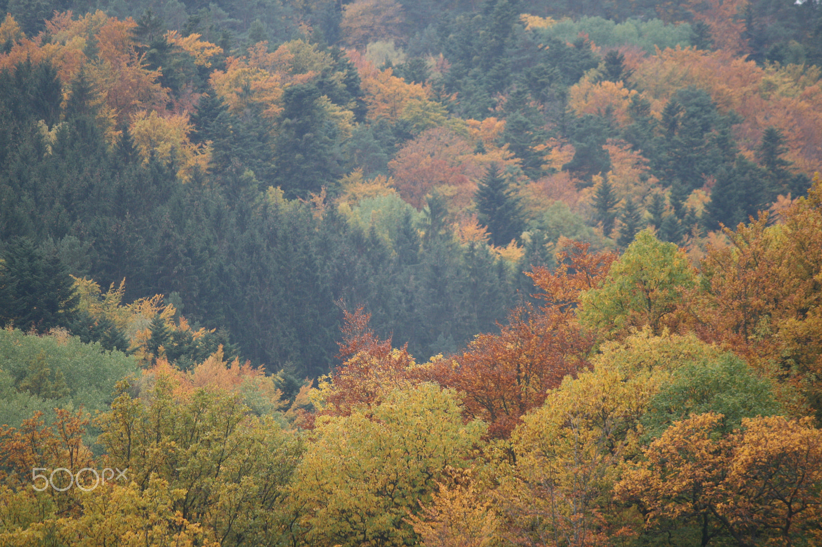 Canon EF-S 55-250mm F4-5.6 IS sample photo. Fall in alsace photography
