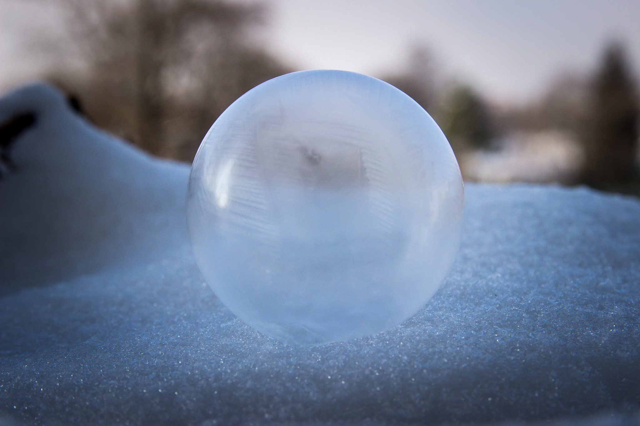 Canon EOS 600D (Rebel EOS T3i / EOS Kiss X5) sample photo. Frozen bubble photography