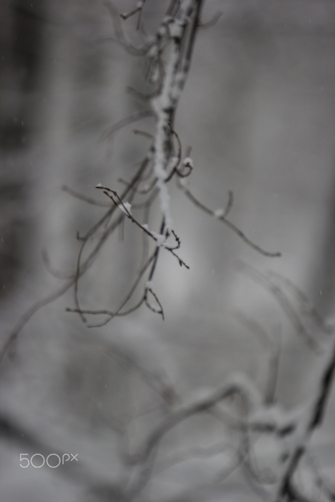 Canon EF 70-200mm F2.8L USM sample photo. Winter sights photography