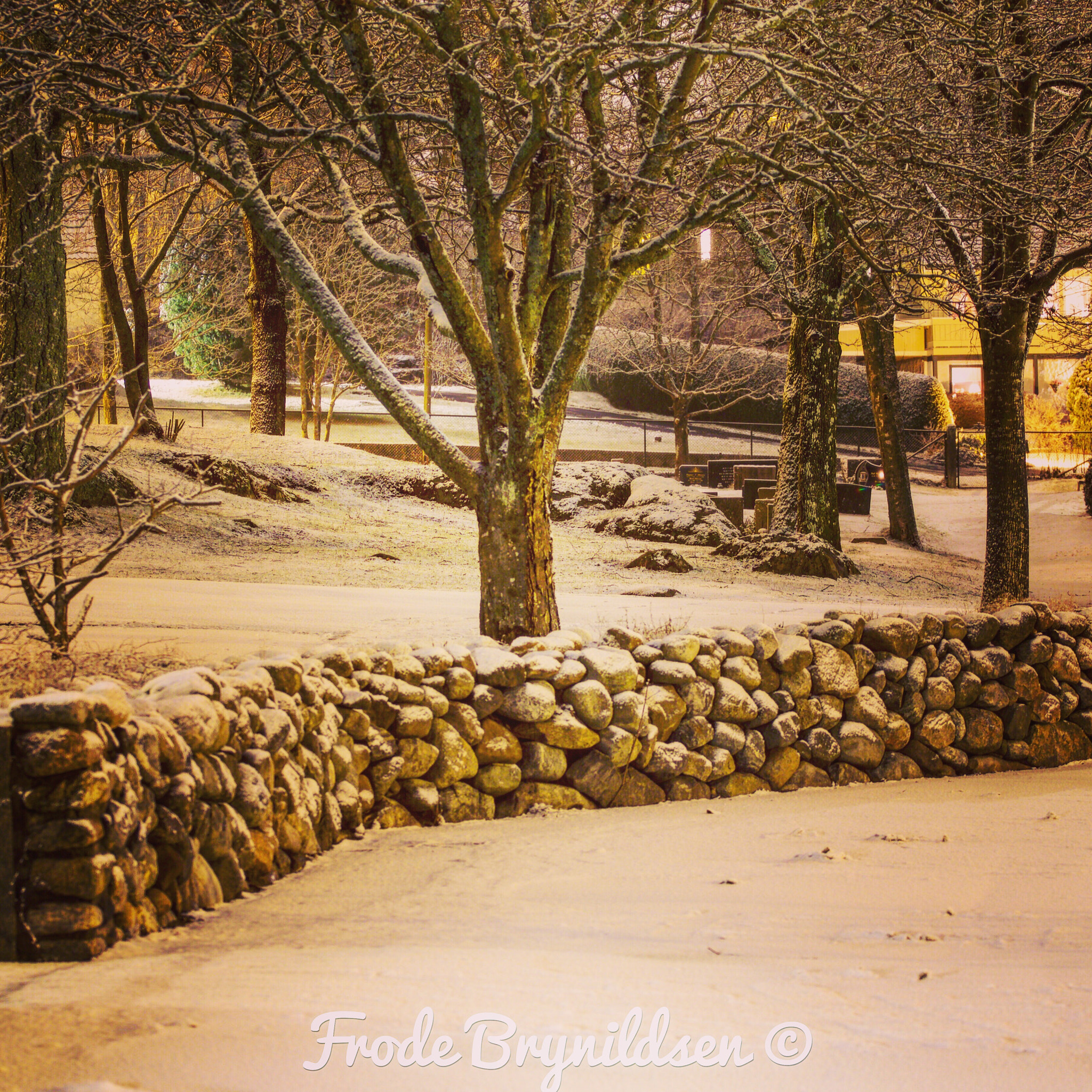 Canon EF 70-200mm F4L USM sample photo. Taken at night at the graveyard photography