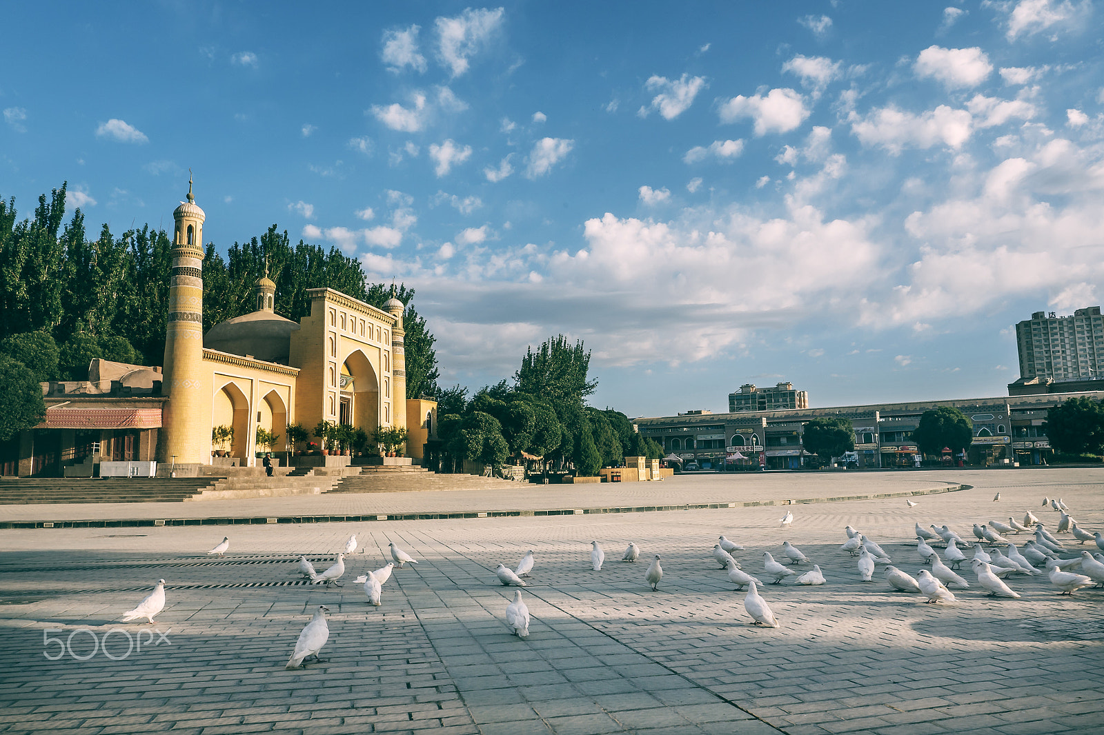 Panasonic Lumix DMC-GH4 + OLYMPUS M.12mm F2.0 sample photo. P photography