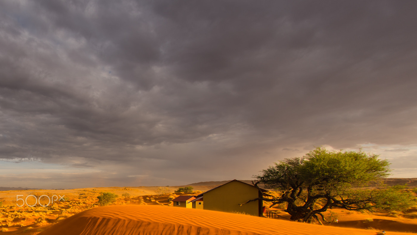 Sony a7R II + Sony 16mm F2.8 Fisheye sample photo. Dune lodge photography