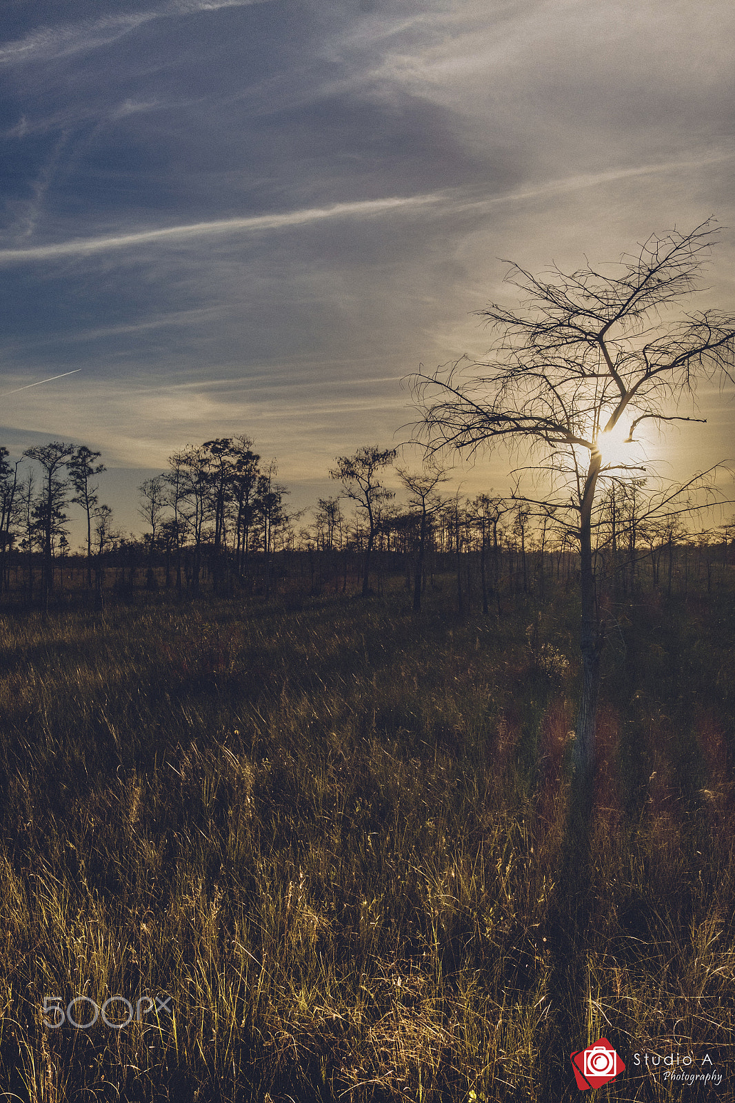 Fujifilm X-T1 + Fujifilm XF 23mm F2 R WR sample photo. Sunset in the woodlands photography