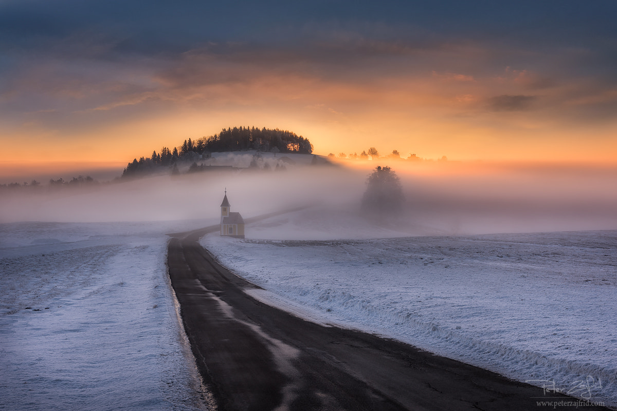 Nikon D810 + Nikon AF-S Nikkor 24-85mm F3.5-4.5G ED VR sample photo. Misty morning photography