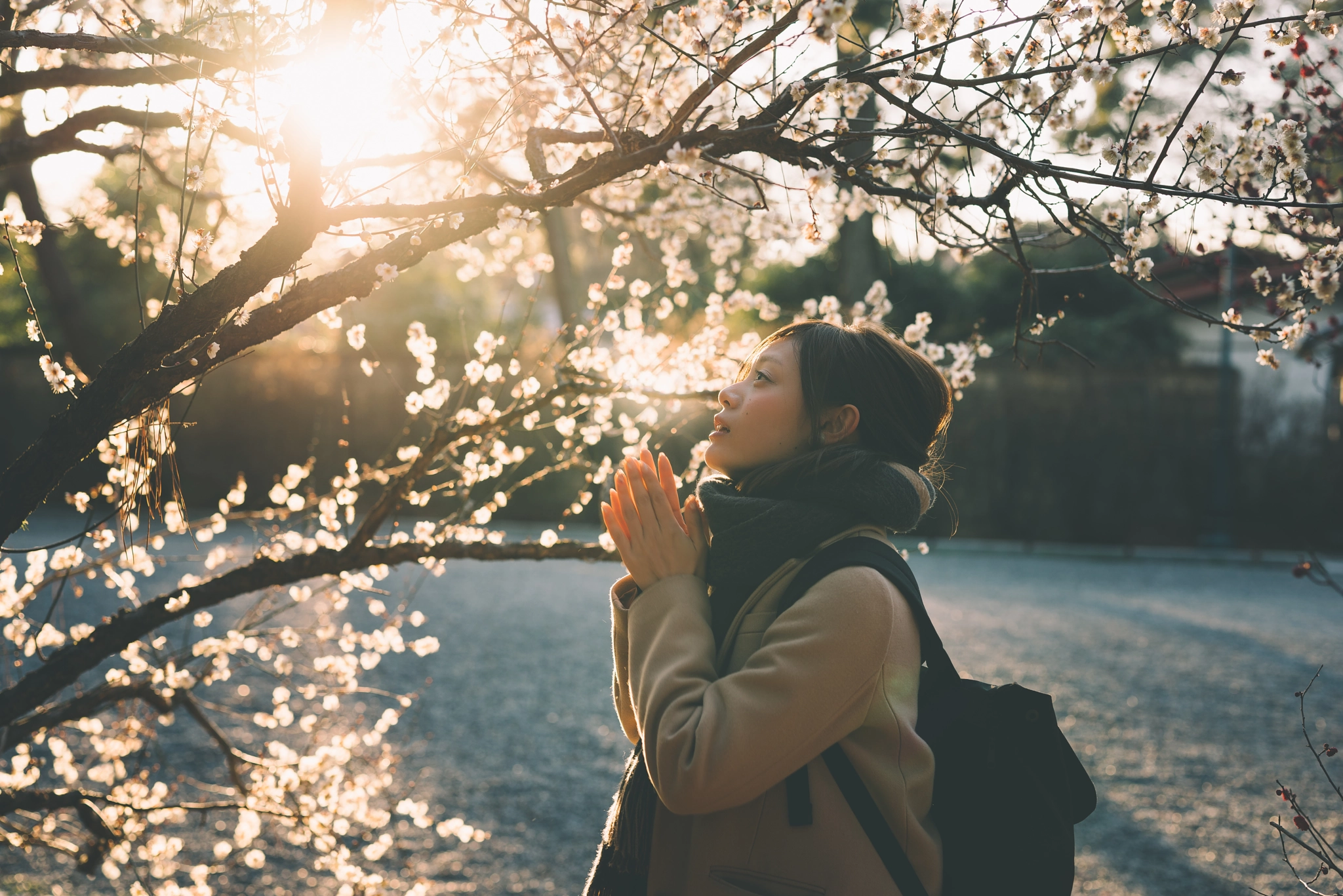 Sony a7R + E 50mm F1.4 sample photo. Untitled photography