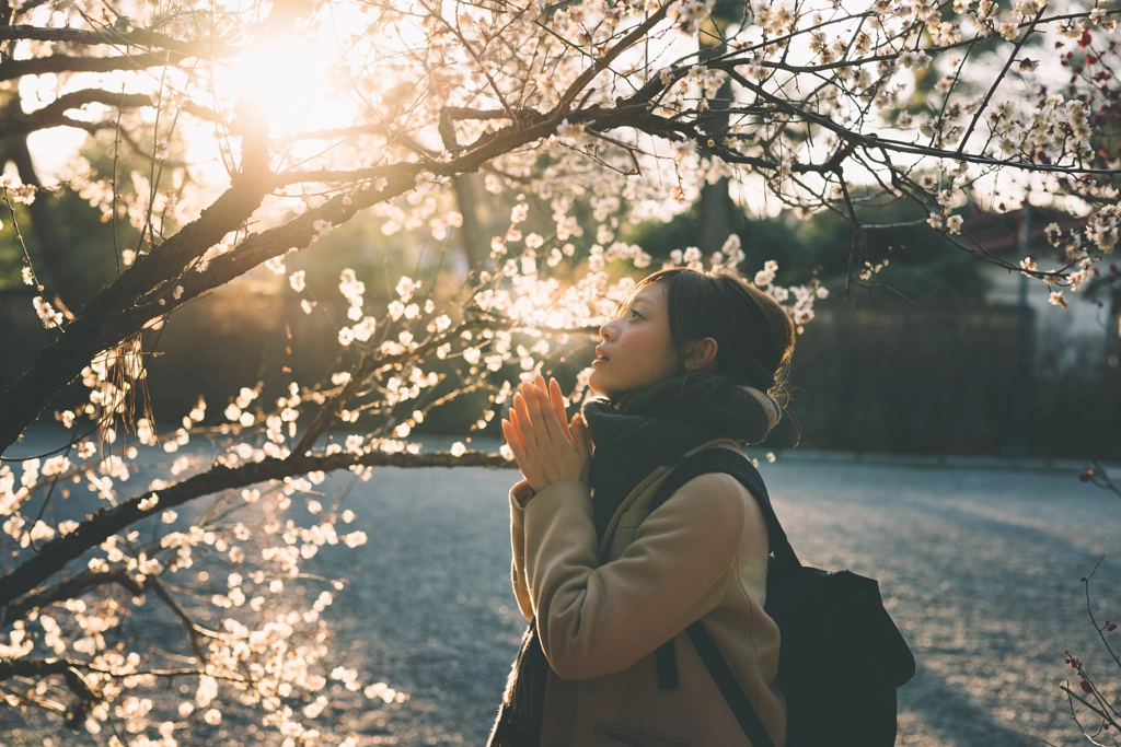 spring morning