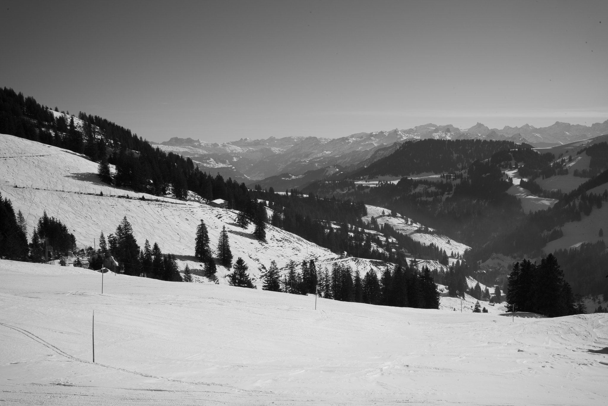 Leica Summilux-M 35mm F1.4 ASPH sample photo. View from rigi photography