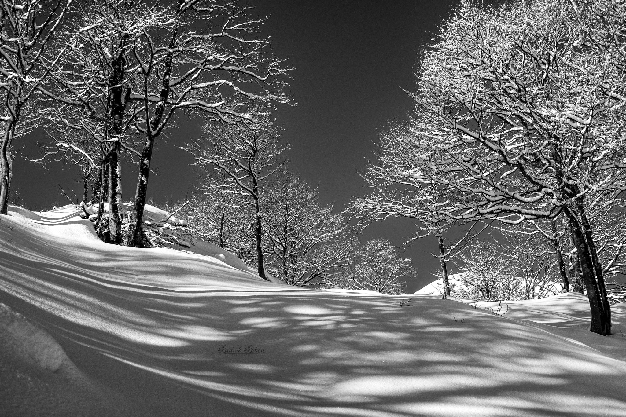 Sony a7 II + Sony 50mm F1.4 sample photo. Fresh snow photography