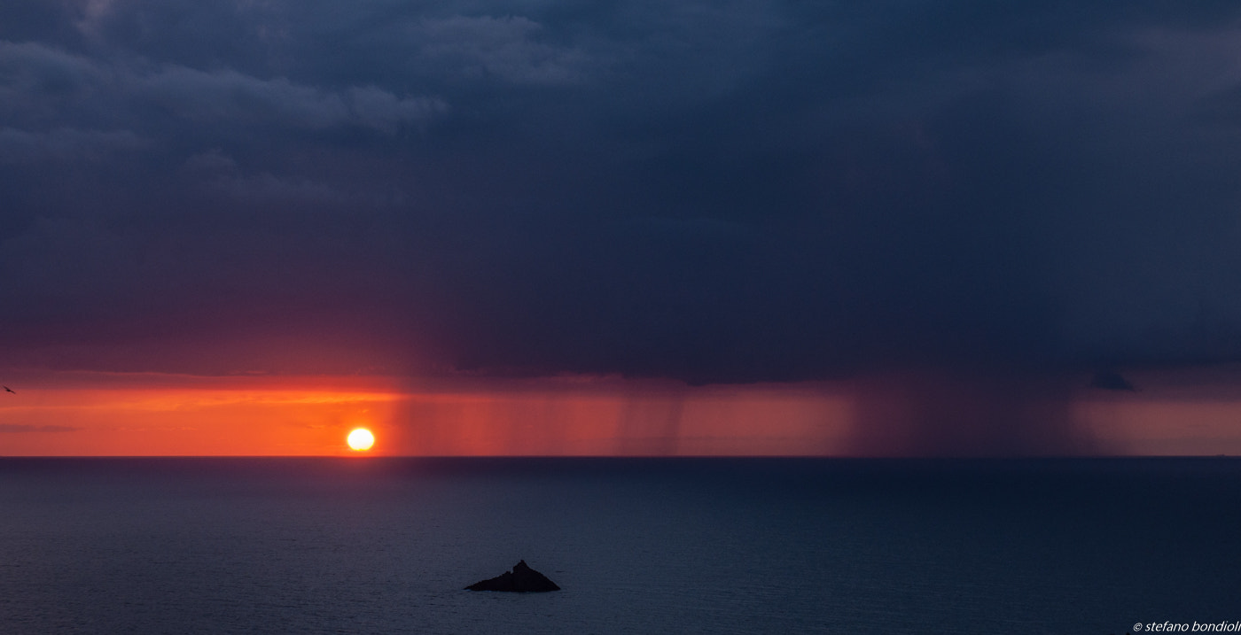 Nikon AF-S Nikkor 24-70mm F2.8G ED sample photo. A natural sandwich photography