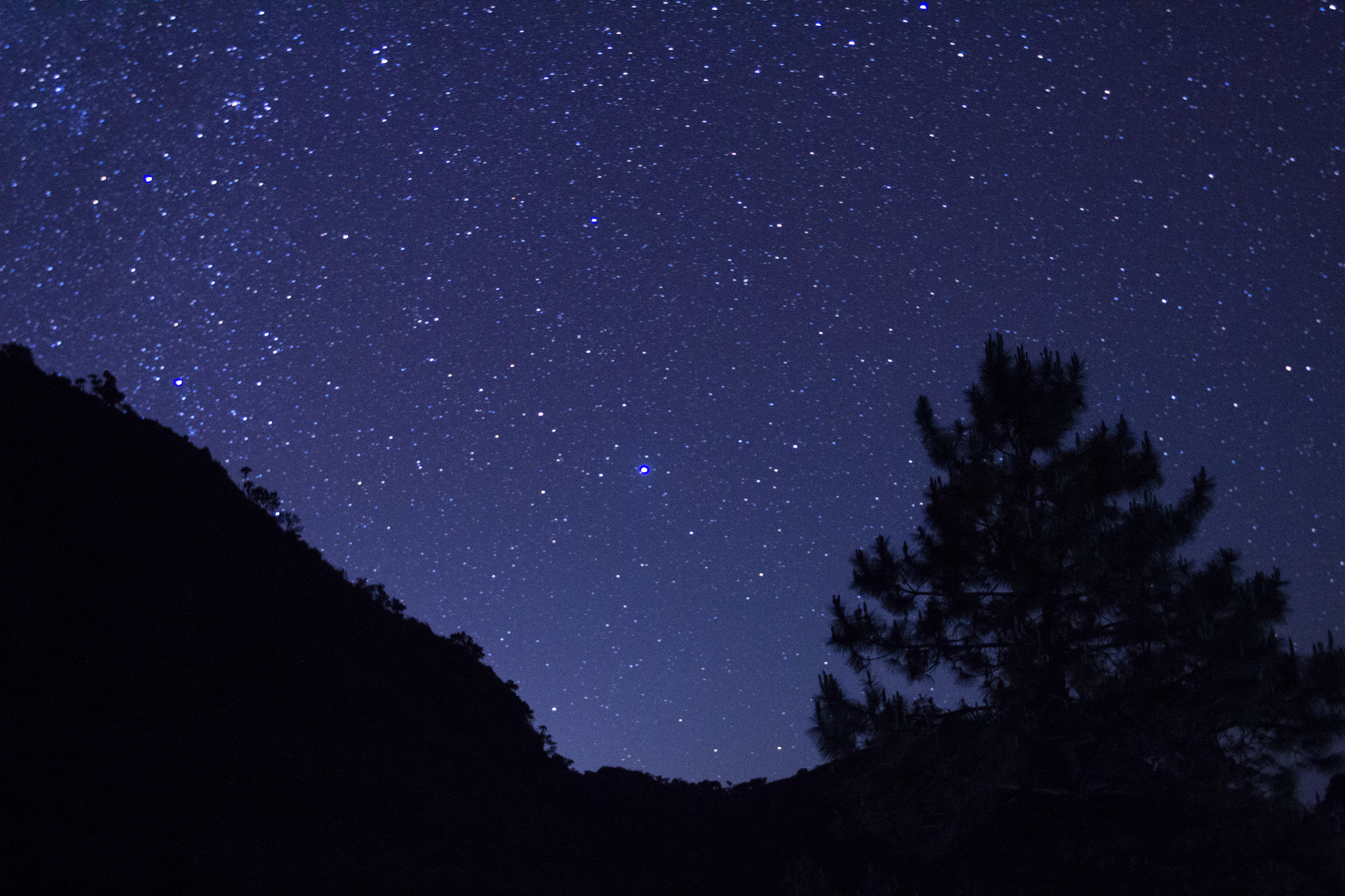 Canon EF 16-35mm F2.8L II USM sample photo. Star photography