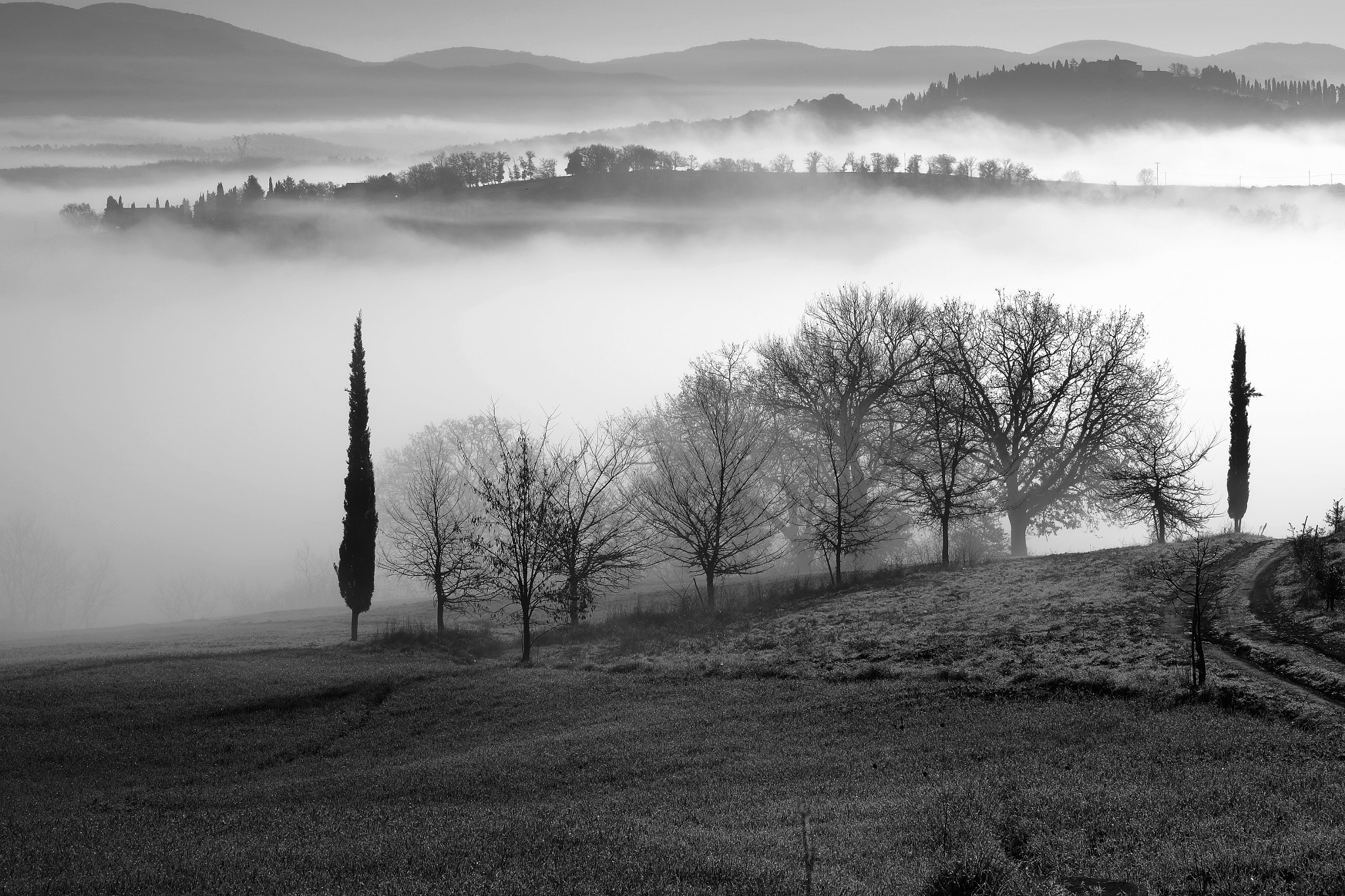 Fujifilm X-E1 + Fujifilm XF 55-200mm F3.5-4.8 R LM OIS sample photo. Morning mist photography