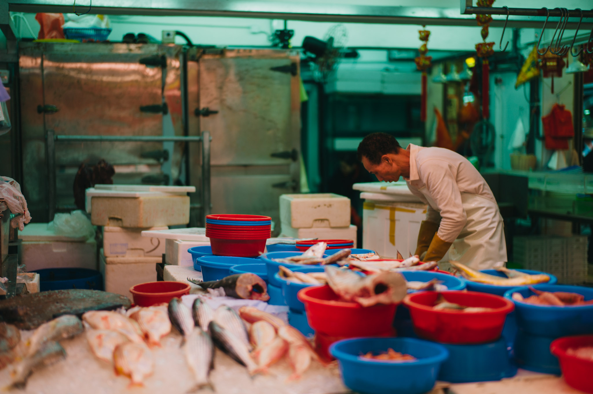 Leica M9 + Leica Summilux-M 50mm F1.4 ASPH sample photo. Fish market photography
