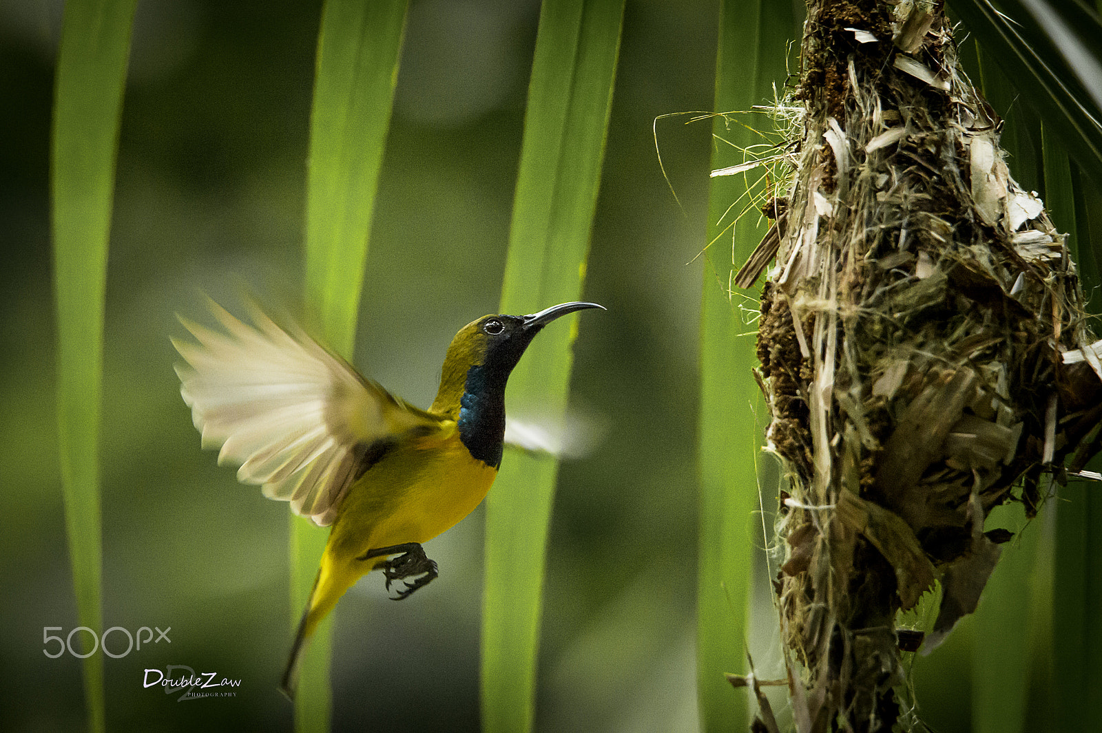 Nikon D4 sample photo. Home photography