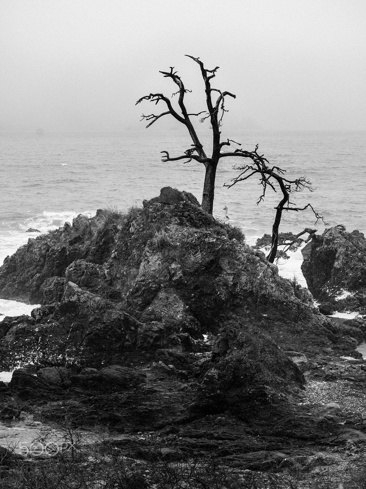 Nikon AF-S Nikkor 70-200mm F4G ED VR sample photo. Against the sea photography