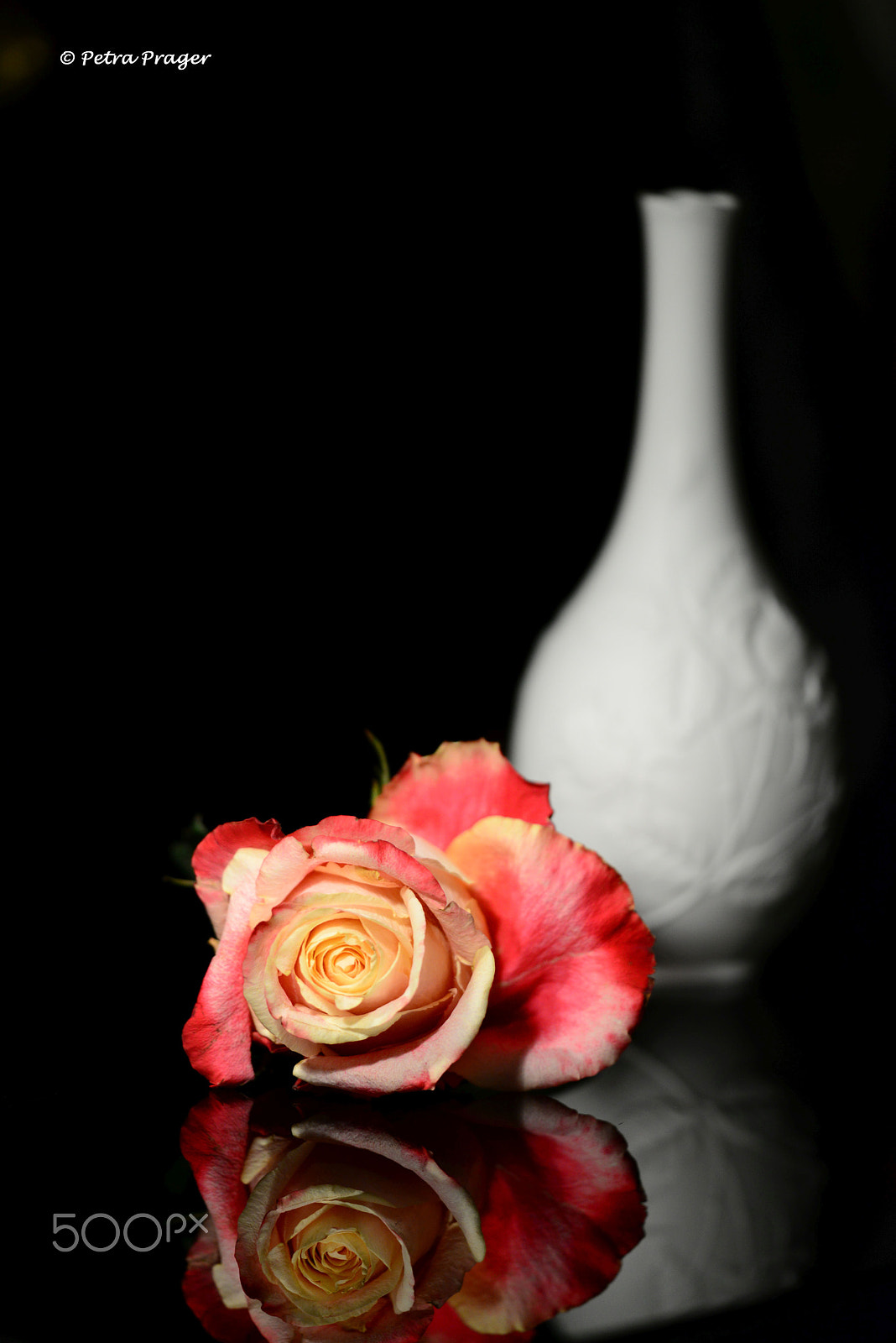 Sigma 150mm F2.8 EX DG OS Macro HSM sample photo. My inspiration photography