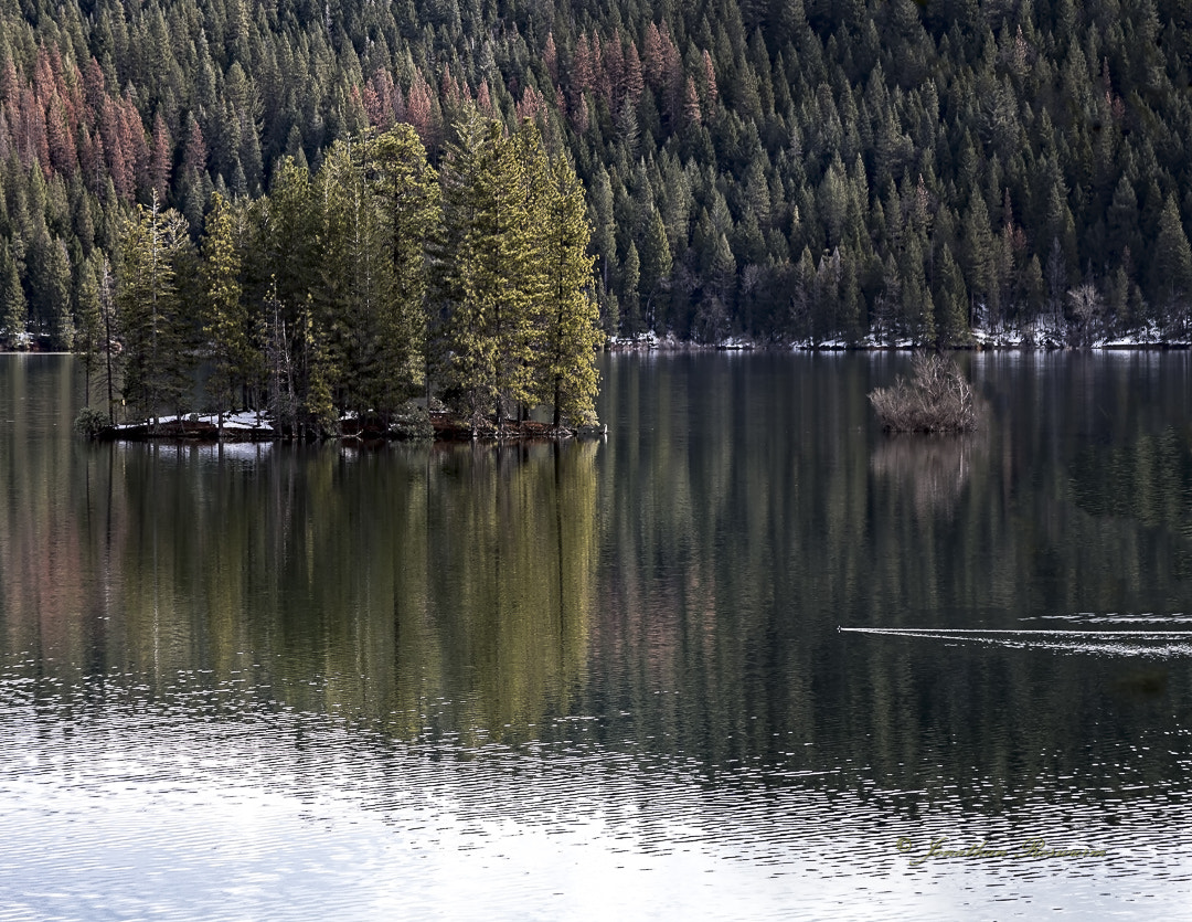 Canon EF 28-135mm F3.5-5.6 IS USM sample photo. Edit photography