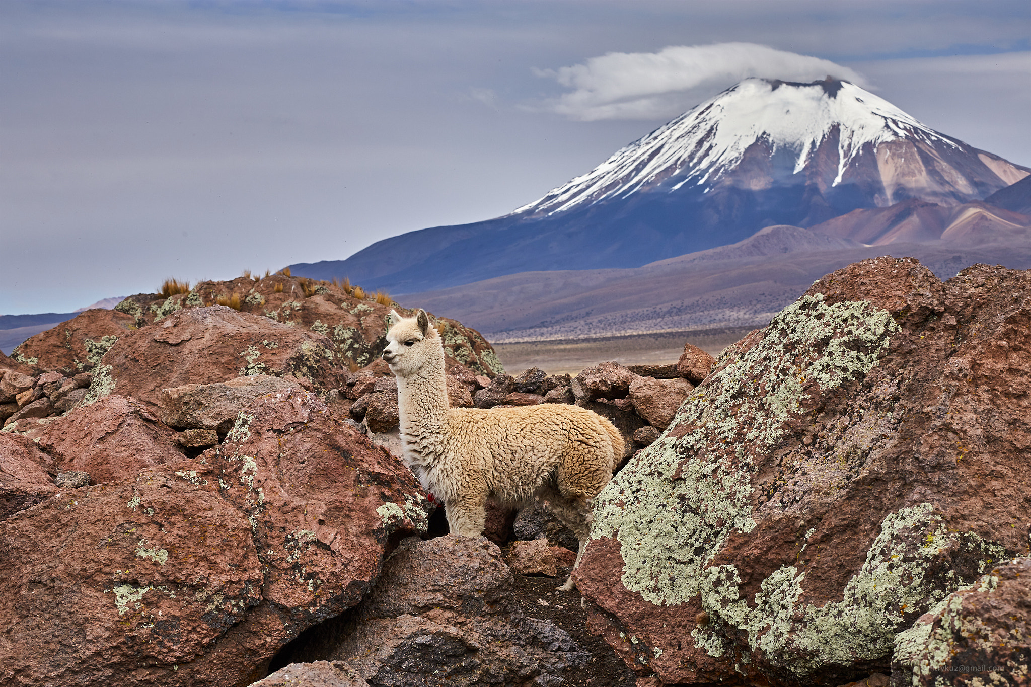 Canon EF 70-200mm F4L IS USM sample photo. Bolivian landscape photography