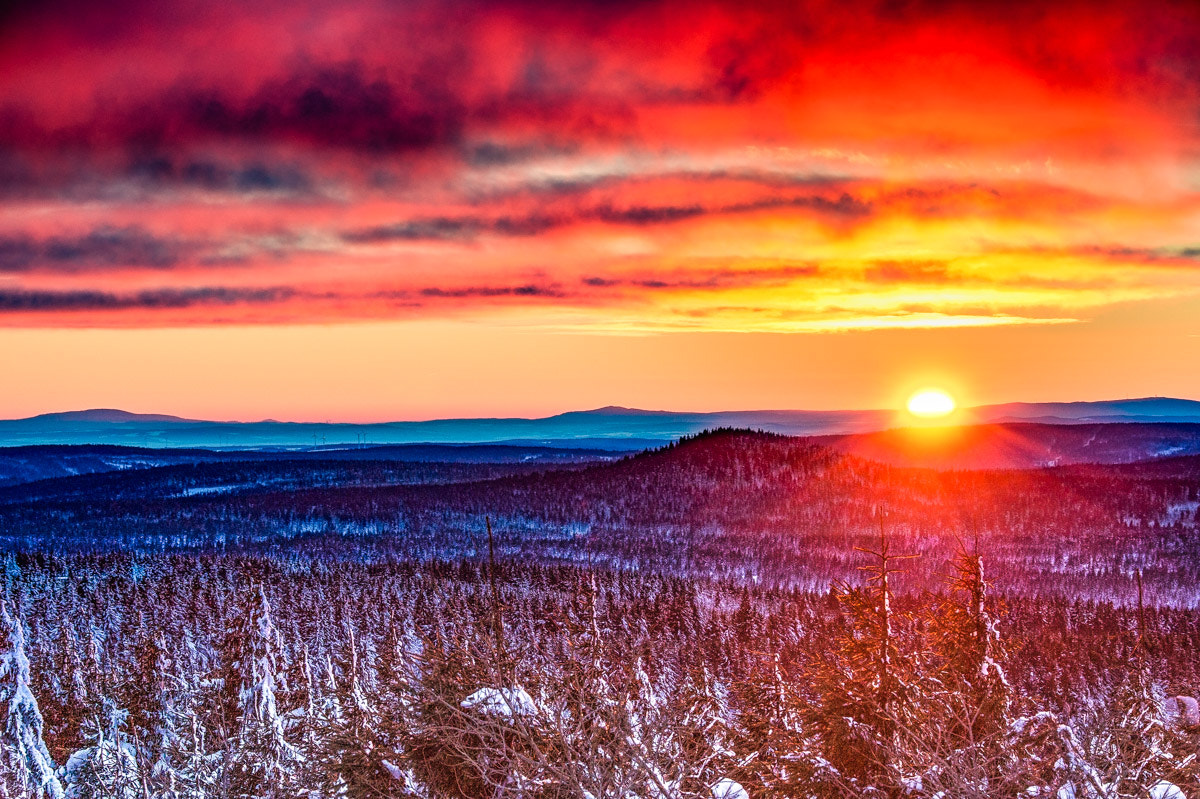 Nikon D4 sample photo. Red sunset photography