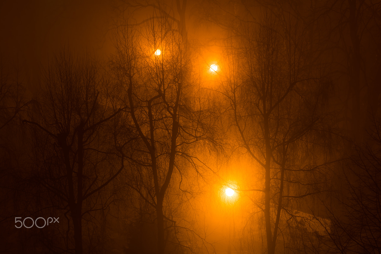 Nikon D7100 + Sigma 50-100mm F1.8 DC HSM Art sample photo. Dsc photography
