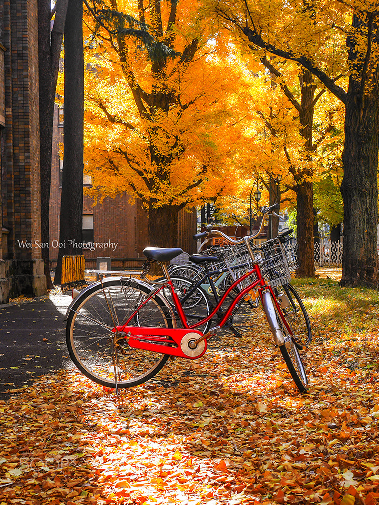 Panasonic Lumix DMC-GX7 sample photo. University of tokyo 01 photography