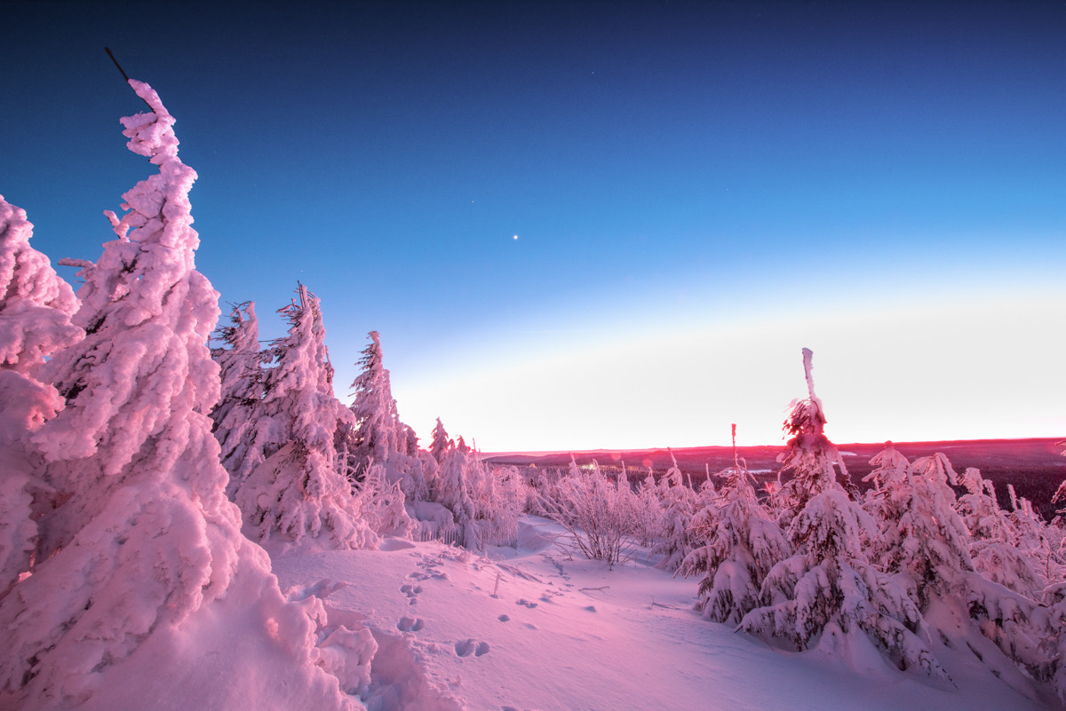 Nikon D810A + Nikon AF-S Nikkor 14-24mm F2.8G ED sample photo. Pink sunset photography