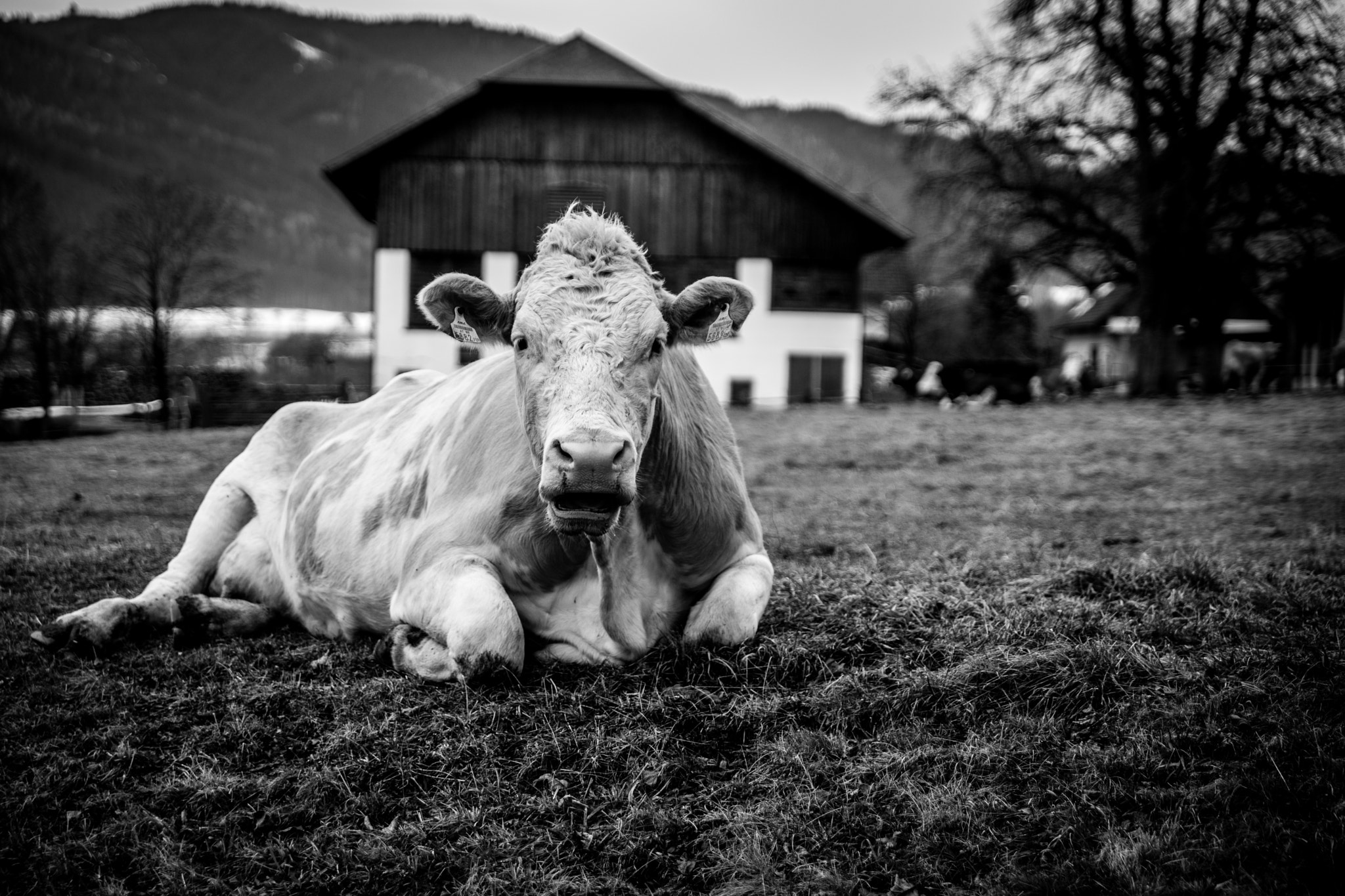 24-70mm F2.8 sample photo. What ? photography
