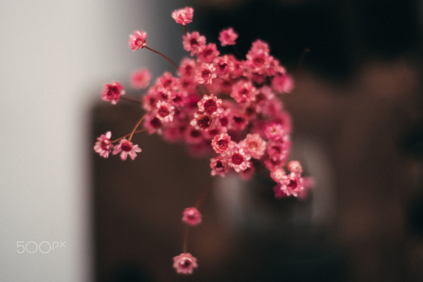 Nikon D810 + Nikon AF Nikkor 50mm F1.8D sample photo. Ptd photography